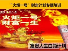 东吴人寿火炬一号财富计划专题培训36页.ppt