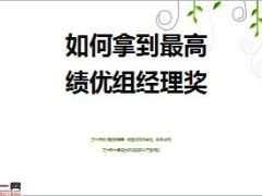 如何拿到最高绩优组经理奖15页.ppt