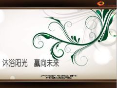 精英分享赢向未来开门红30页.ppt