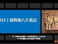 2015年保险业六大看点13页.ppt