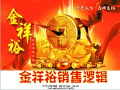 阳光人寿金祥裕产品销售逻辑53页.ppt