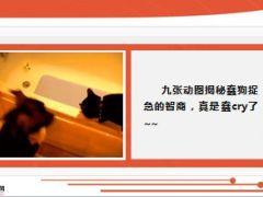 每日快乐早会15年1月12日使用14页.ppt