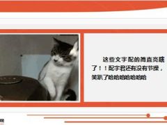 每日快乐早会15年1月13日使用14页.ppt