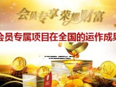 2015会员专属项目在全国的运作成果27页.ppt