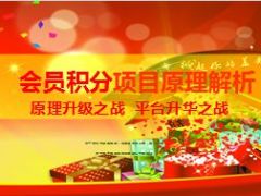 会员积分项目原理解析22页.ppt
