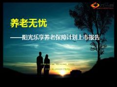 阳光乐享养老保障计划卖点案例介绍56页.ppt