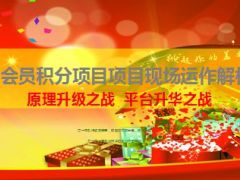 会员积分项目项目现场运作解析94页.ppt