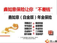 国寿鑫如意十年期亮点20页.ppt