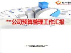 团险预算管理工作汇报13页.ppt