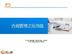 保险业反洗钱基础知识义务详解交易类型29页.ppt