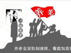 废除养老金双轨制下商保的出路17页.ppt