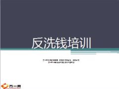 反洗钱基础知识法律法规69页.ppt