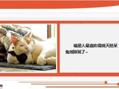 每日快乐早会15年1月19日使用14页.ppt