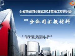 团险渠道2015汇报材料大病补充保险18页.ppt