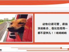 每日快乐早会15年1月20日使用14页.ppt