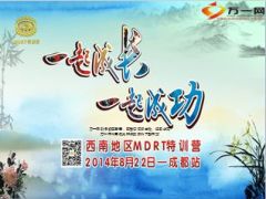 泰康高水玲MDRT分享语录经典话术41页.ppt