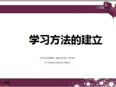学习能力方法与流程51页.ppt