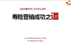 寿险营销成功之道台湾吕文香分享53页.ppt