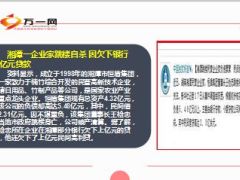 欠债欠贷超5亿明星企业家跳楼身亡10页.ppt