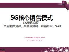 5G销售流程风险测评产品决策树10页.ppt