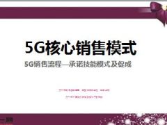 5G销售流程承诺技能模式及促成13页.ppt