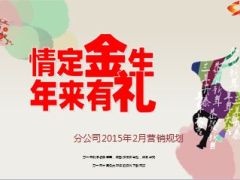 2015年2月份营销规划产品策略节奏安排行事历36页.ppt