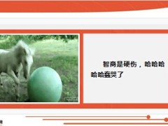 每日快乐早会15年1月23日使用14页.ppt