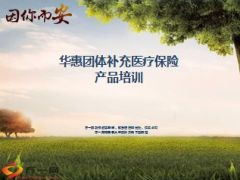 新华华惠团体补充医疗保险产品宣导32页.ppt