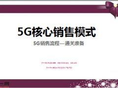 5G销售流程通关准备6页.ppt