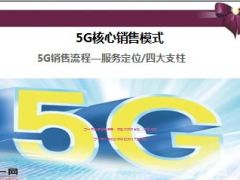 5G销售流程四大支柱28页.ppt