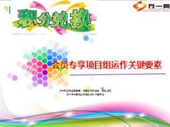 会员专享项目组运作关键要素22页.ppt