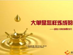 大单是怎样炼成的保险大单的销售技巧45页.ppt