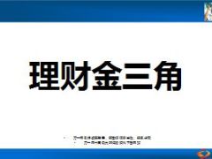 培训TOP理财金三角分享11页.ppt