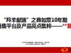 高端客户2015年跨年祈福活动国寿鑫如意15页.ppt