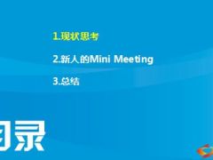 新人MiniMeeting会前会中会后24页.ppt