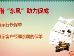 攻心术话术保险儿子现金企业家庭准备金19页.ppt