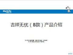 大都会人寿吉祥无忧B款产品介绍15页.ppt