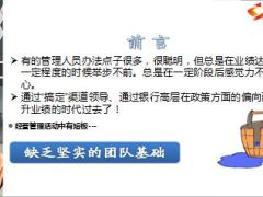 银行保险团队建设17页.ppt