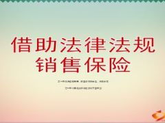 借助法律法规销售保险48页.ppt