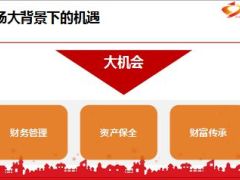 家庭财务顾问式销售分享31页.ppt