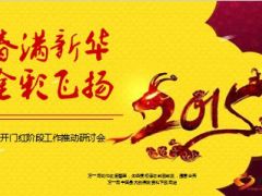 二三月节奏推动安排开门红研讨会66页.ppt