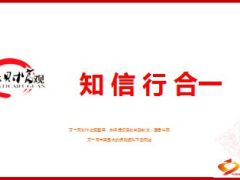 自我管理分解目标实现百万标保收入分享46页.ppt
