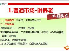 国寿鑫如意普通市场老年儿童市场老板市场解析17页.ppt