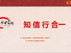 专注与专业成就保险人生分享23页.ppt