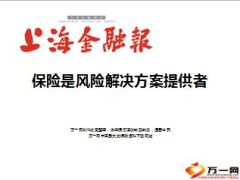 保险是风险的最好解决方法11页.ppt