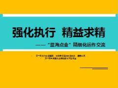 银行保险蓝海点金精细化运作交流36页.ppt