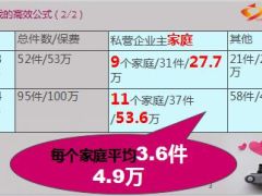 私营企业主个性化经营服务模式分享29页.ppt
