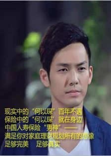何以笙箫默国寿鑫如意15页.ppt