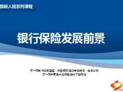 银行保险发展前景28页.ppt
