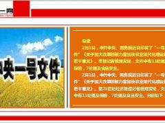 2015年中央一号文件11处提保险7处提食品安全11页.ppt